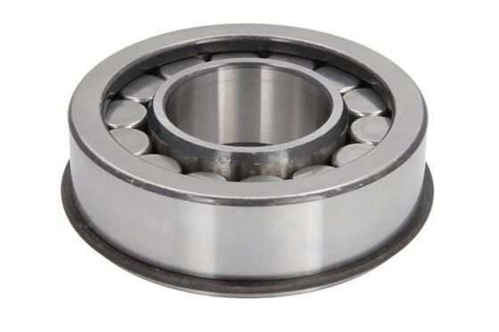 Підшипник з циліндричними роликами диференціала (45x100x31) DAF / 1291189