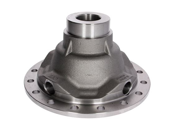 Корпусні частина диференціала / 81351050062