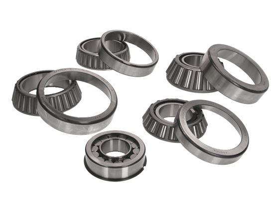 Комплект підшипників редуктора моста DAF1347 повний