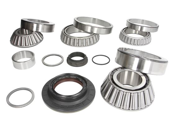 Комплект підшипників диференціала