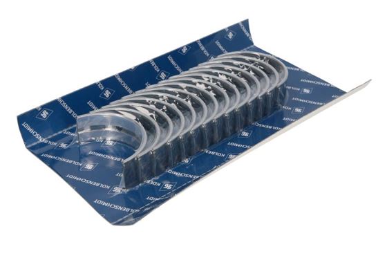 Підшипник ковзання HL 0,50 (BF6M1013)