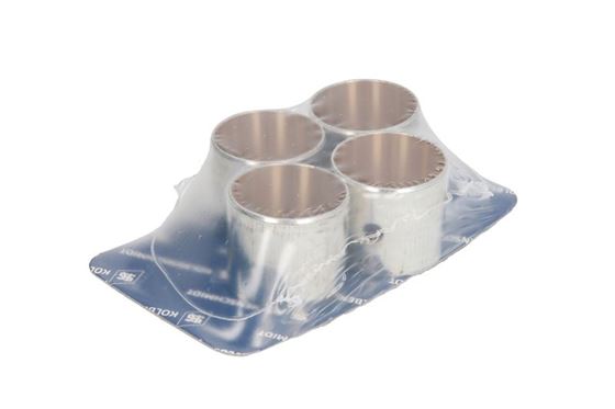 Підшипник ковзання PL-B STD (F4L / BF4L912)